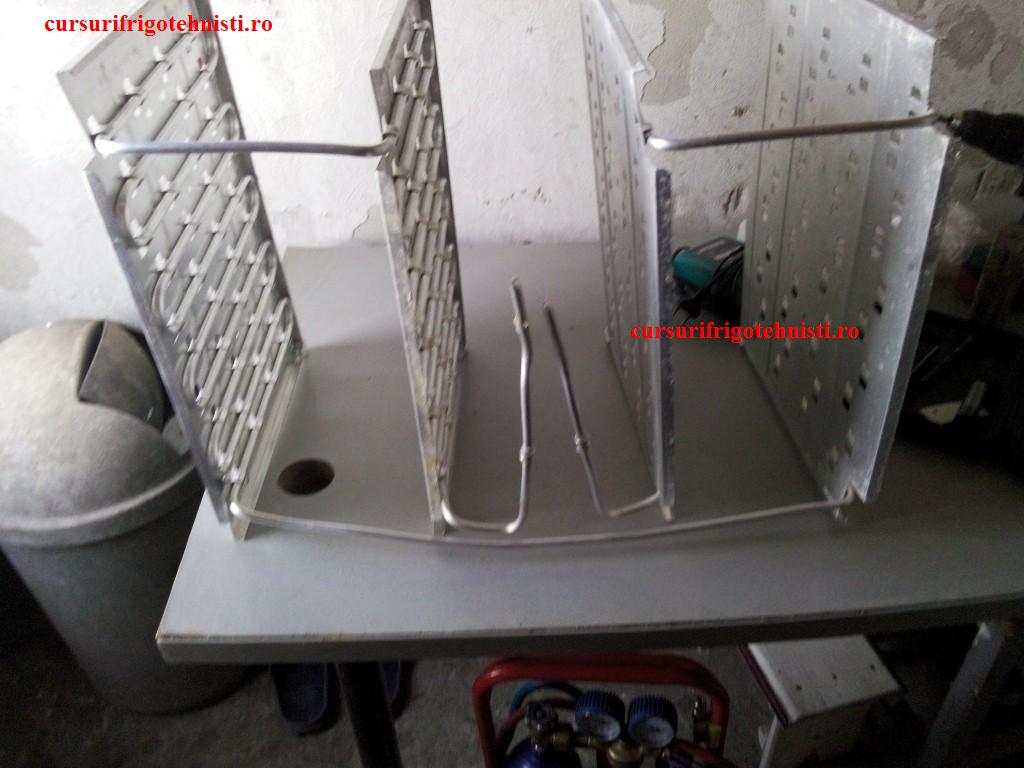 IMG_20150105_100752 (Custom).jpg