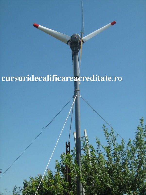 Picture 157 (Custom).jpg