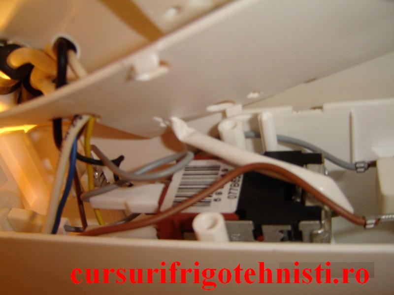 DSC09142 (Custom).JPG