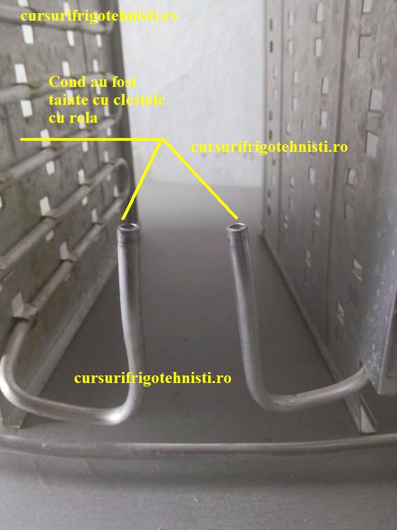 IMG_20150105_103405 (Custom).jpg