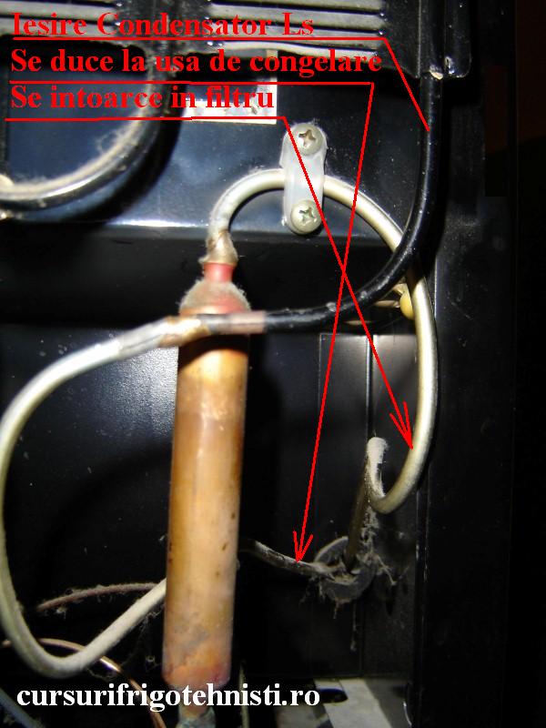 DSC09147 (Custom).JPG