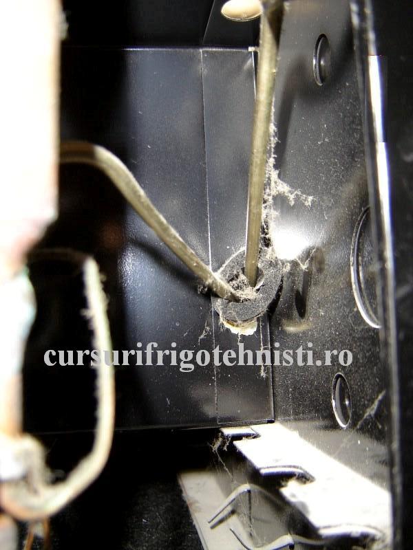 DSC09146. (Custom).JPG