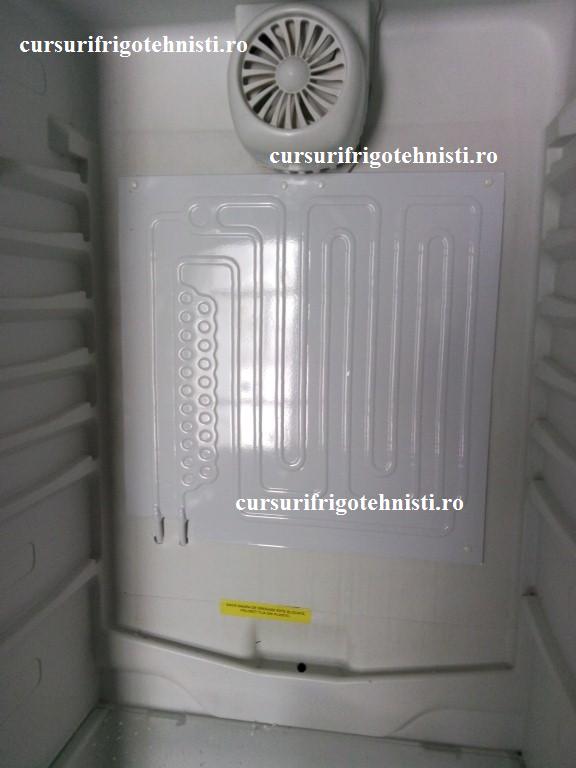 IMG_20150105_102312 (Custom).jpg