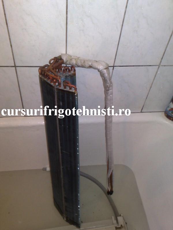 06052012252 (Custom).jpg