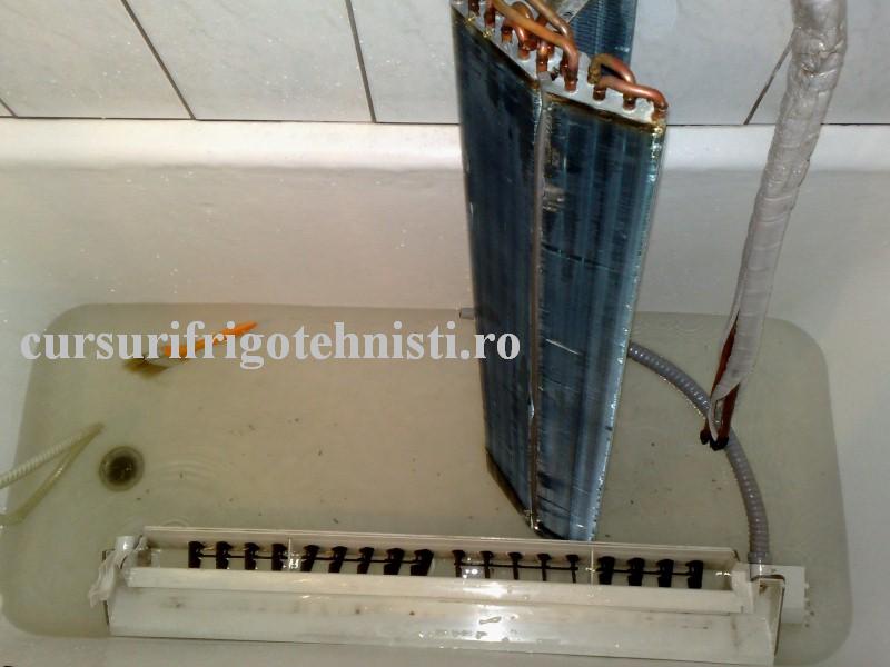 06052012253 (Custom).jpg