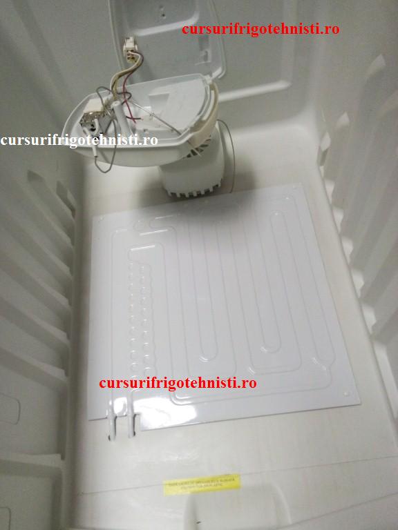 IMG_20150105_102113 (Custom).jpg