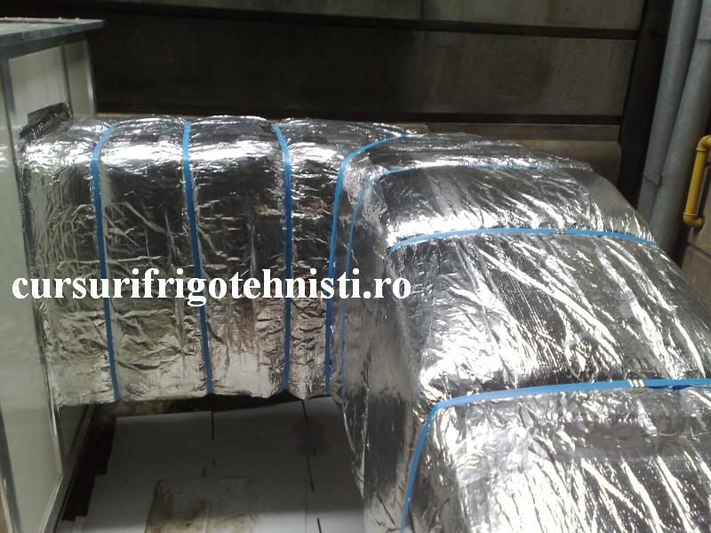 24012012218 (Custom).jpg