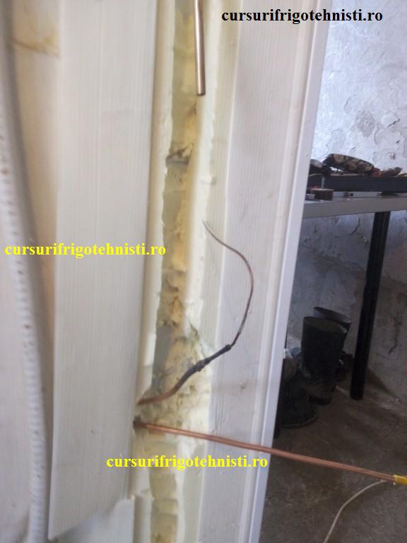 IMG_20150105_110942 (Custom).jpg