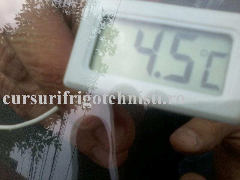 P27-05-16_10.05 (Custom).jpg