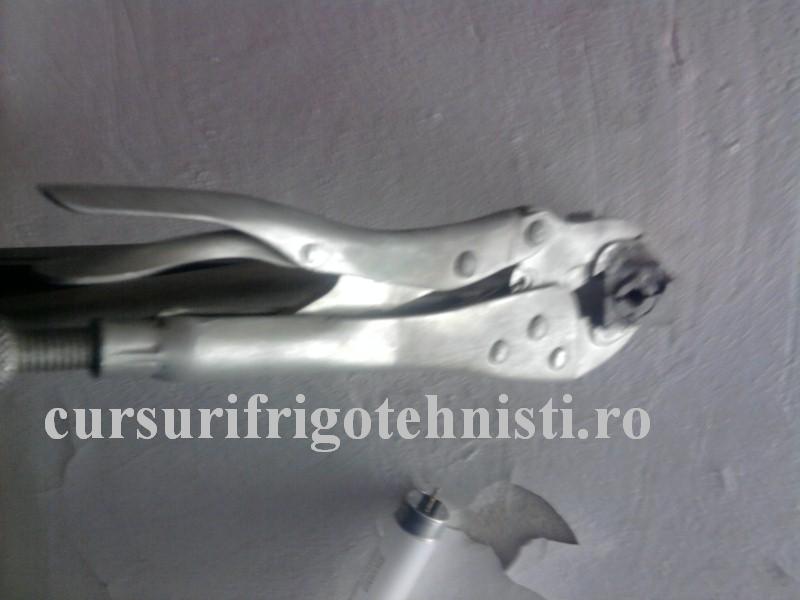 Fotografie0017 (Custom).jpg