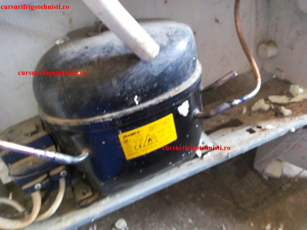 IMG_20150105_113200 (Custom).jpg