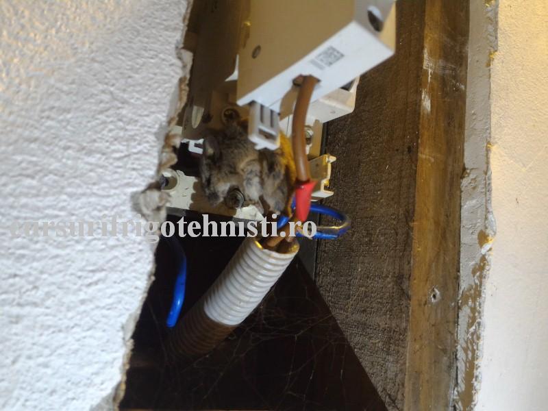 P_20160531_175947 (Custom).jpg