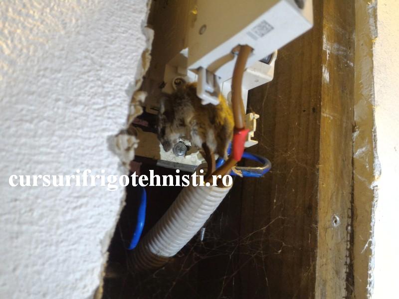 P_20160531_175942 (Custom).jpg