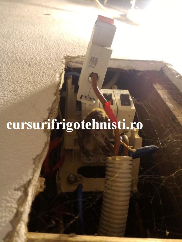 P_20160531_175601 (Custom).jpg