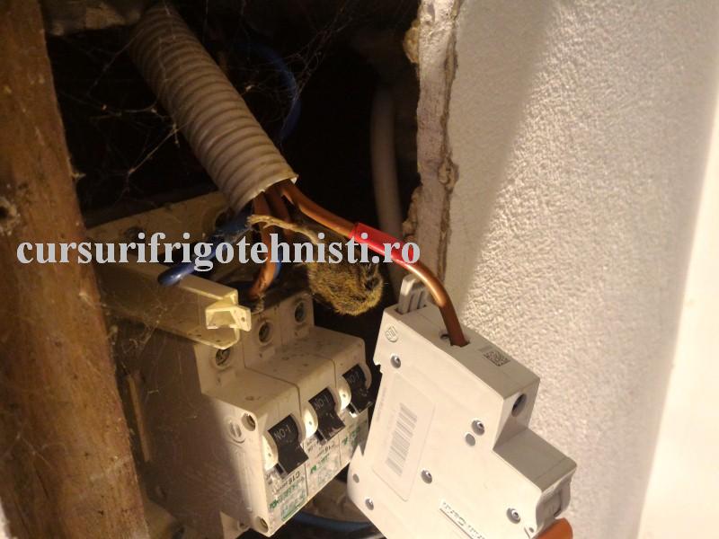 P_20160531_175553 (Custom).jpg