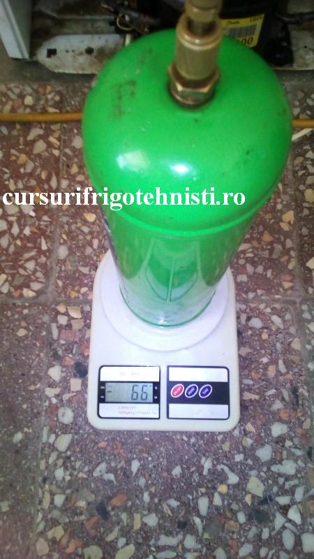 3 66 gr incarcat (Custom).jpg