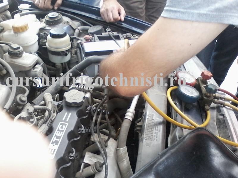 P09-06-16_18.26 (Custom).jpg