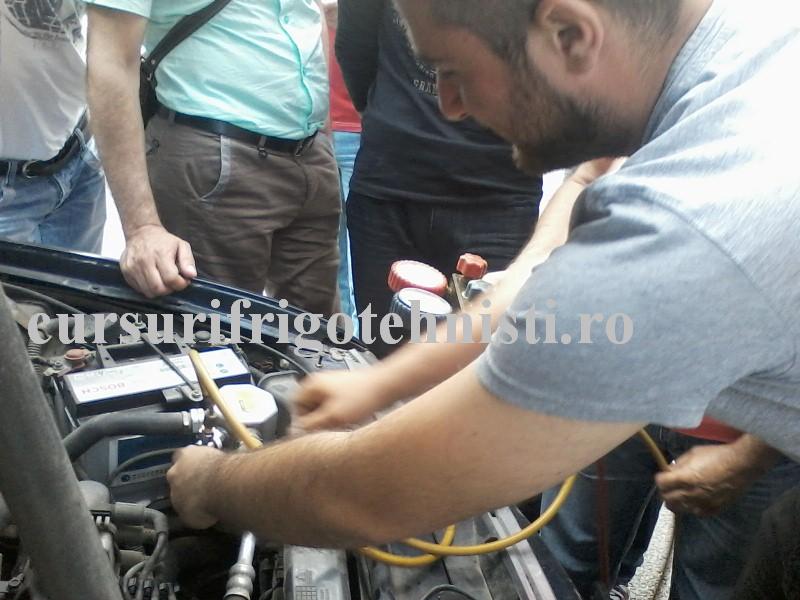 P09-06-16_18.25 (Custom).jpg