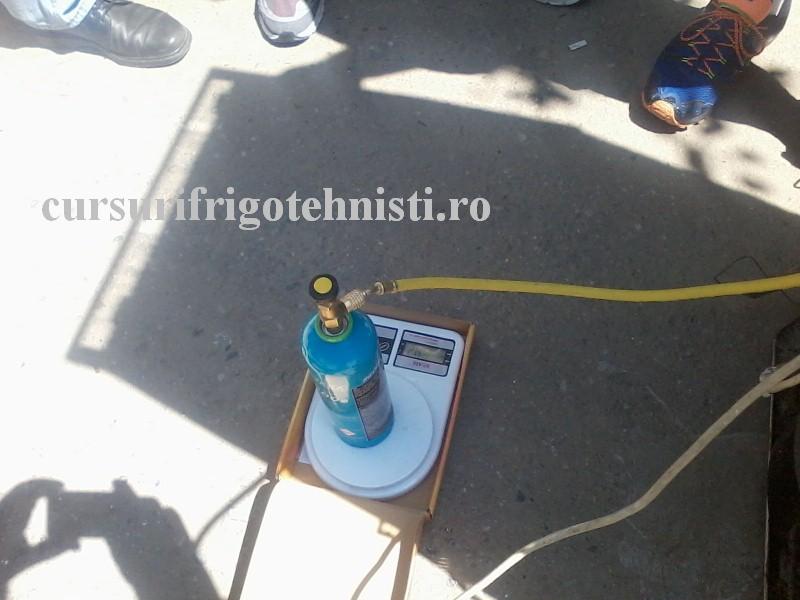 P10-06-16_11.45 (Custom).jpg