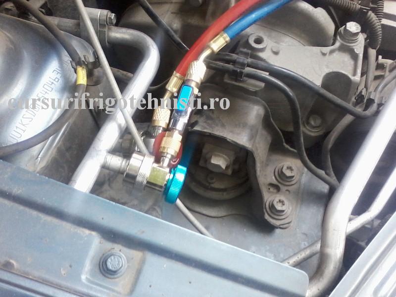 P11-06-16_11.25 (Custom).jpg