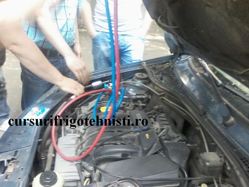 P11-06-16_11.24 (Custom).jpg