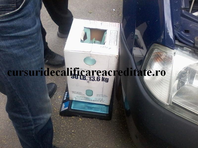 P11-06-16_10.59[03] (Custom).jpg