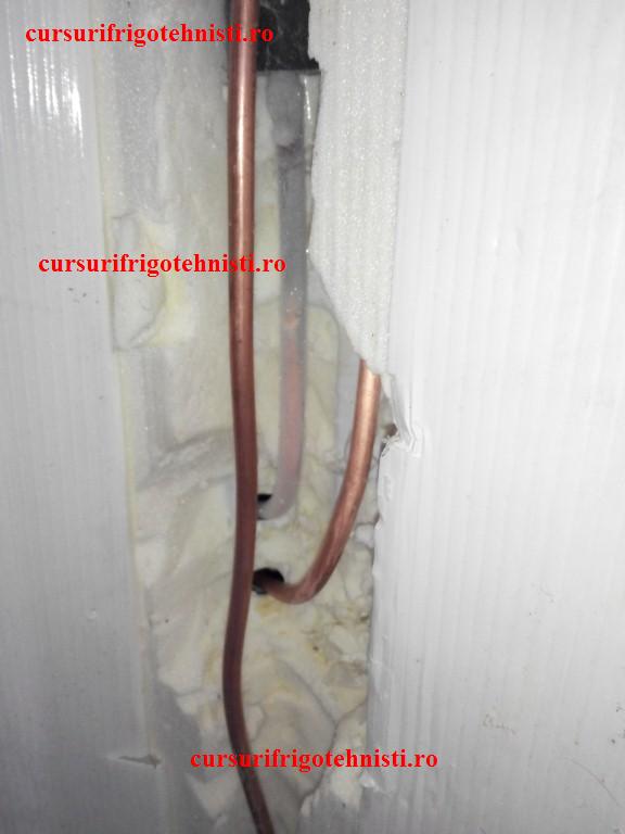 IMG_20150105_121718 (Custom).jpg