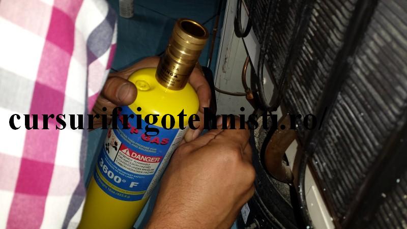 20130903_150547 (Custom).jpg