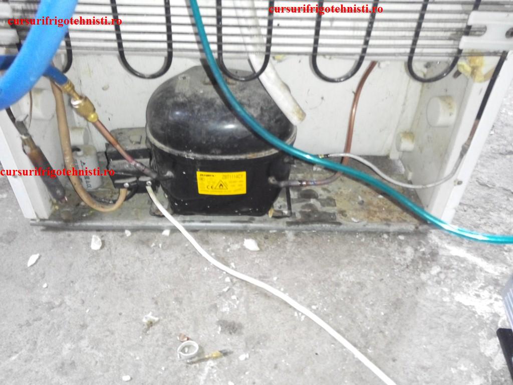 IMG_20150105_115421 (Custom).jpg