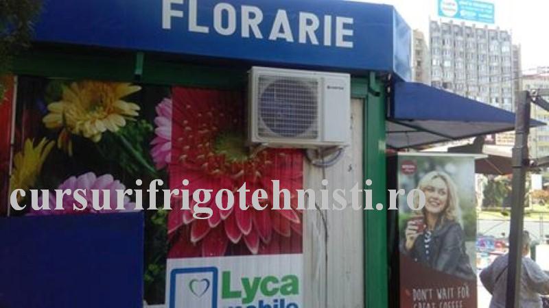 florarie 3 sta la umbra UE (Custom).jpg