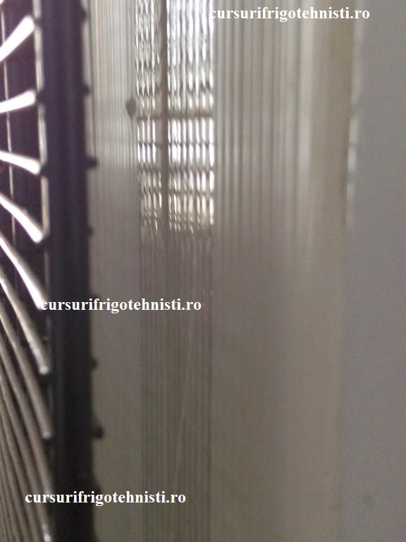 IMG_20150105_123648 (Custom).jpg