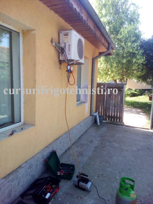 Pus la vidat (Custom).jpg