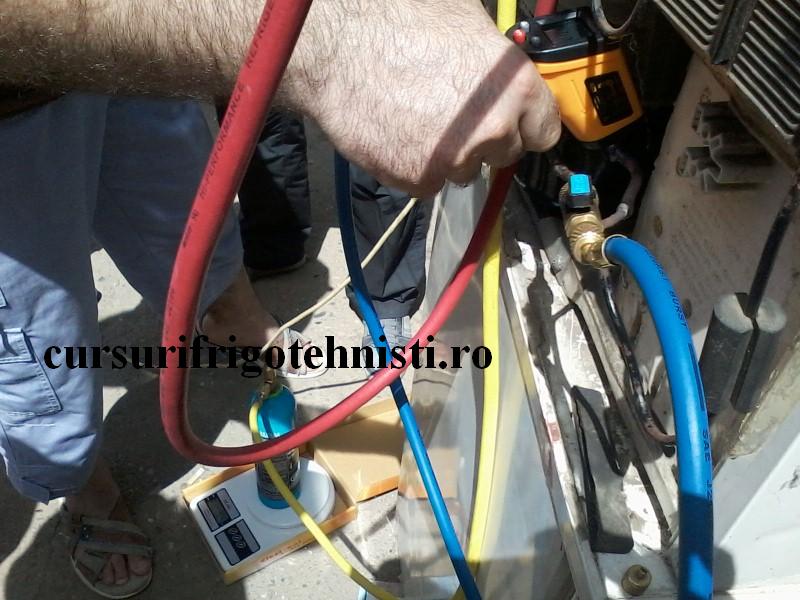 P17-06-16_11.44[01] (Custom).jpg