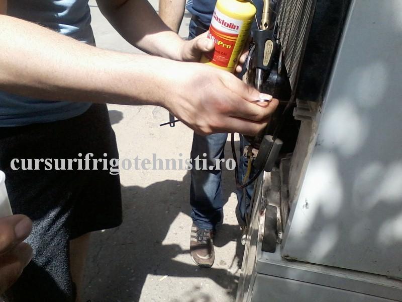 P17-06-16_11.16[01] (Custom).jpg