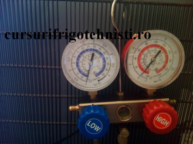 manom in -1 2 (Custom).jpg