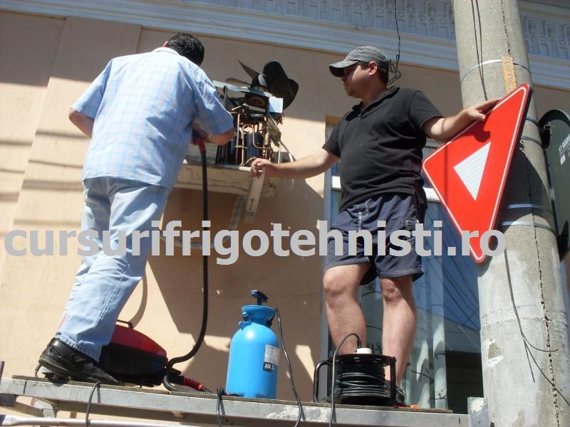 SDC10046 (Custom).JPG