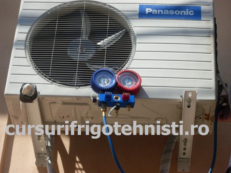 SDC10057 (Custom).JPG