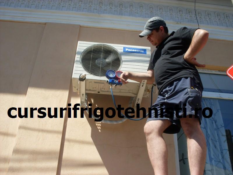 SDC10058 (Custom).JPG