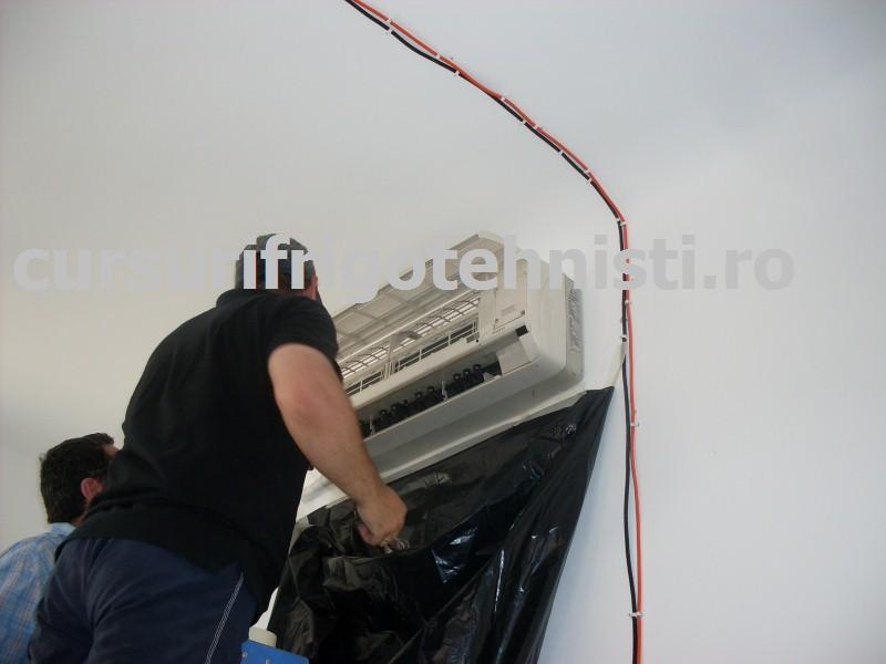 SDC10060 (Custom).JPG