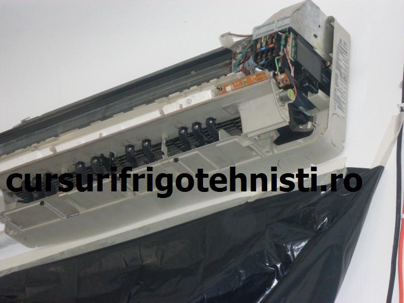 SDC10062 (Custom).JPG