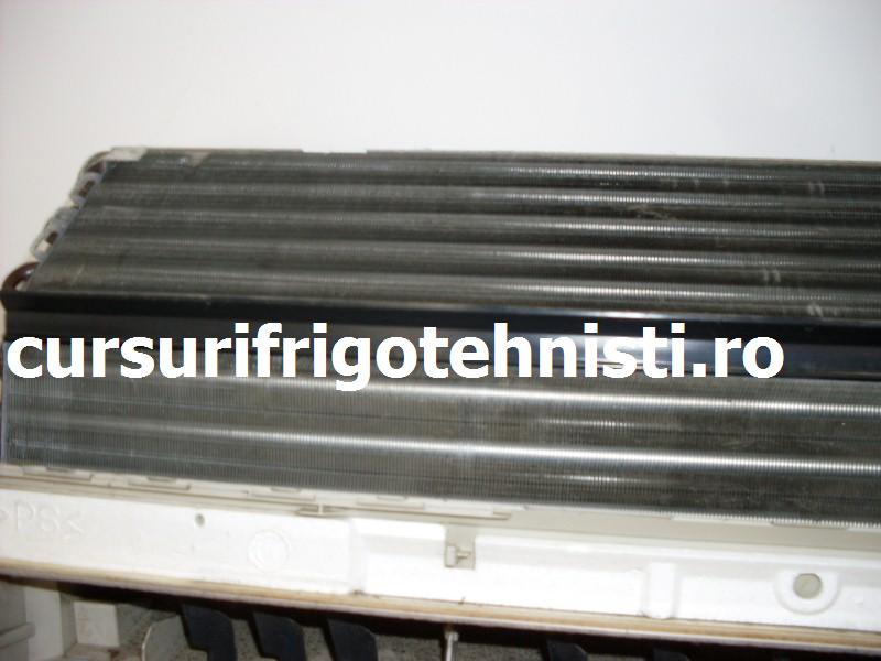 SDC10063 (Custom).JPG