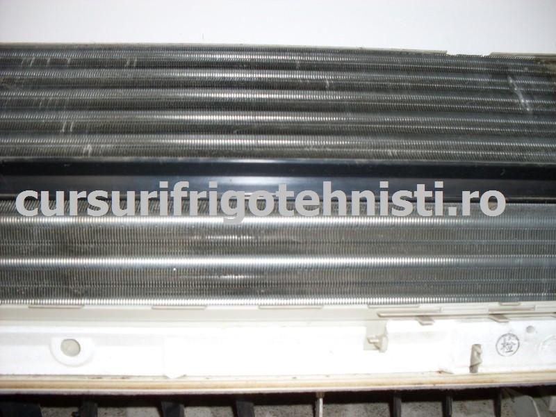 SDC10064 (Custom).JPG