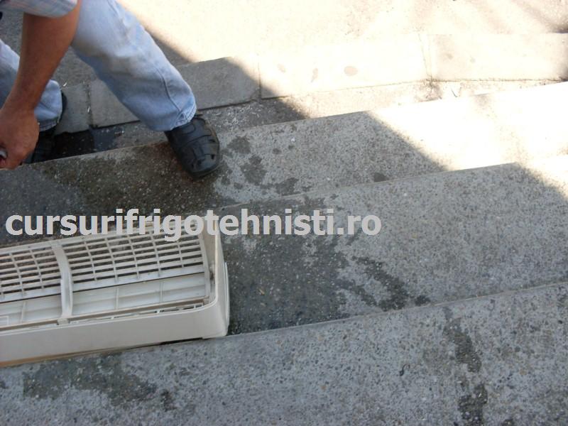 SDC10072 (Custom).JPG