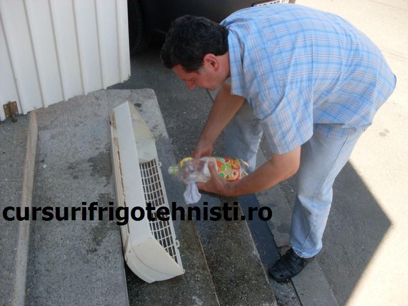 SDC10074 (Custom).JPG