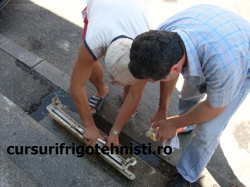 SDC10075 (Custom).JPG