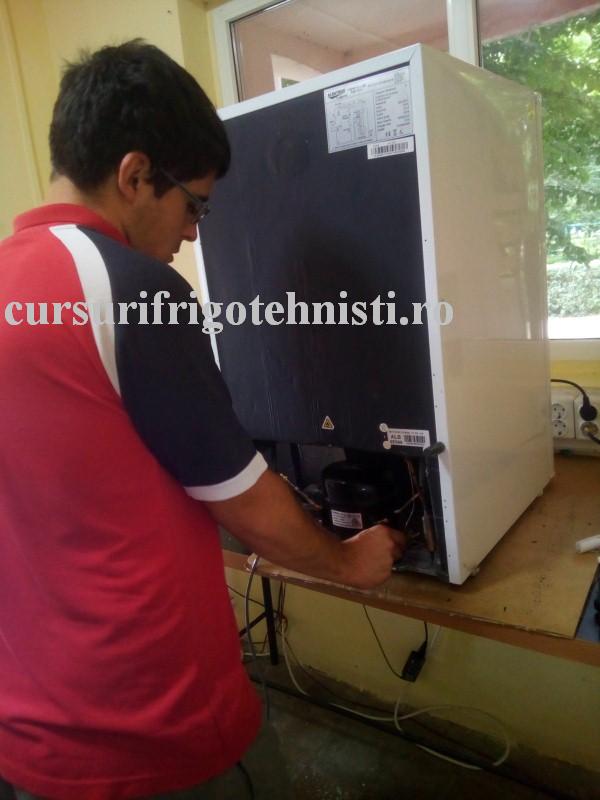 tot eu mesterind  8 (Custom).jpg