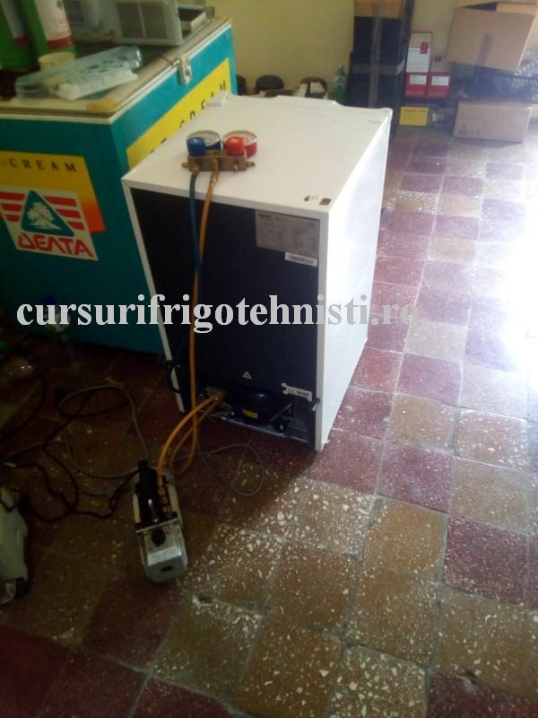 Albatrosul la vidat 3 (Custom).jpg