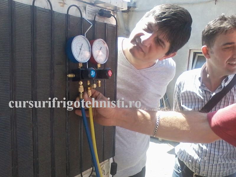 P08-07-16_11.50 (Custom).jpg