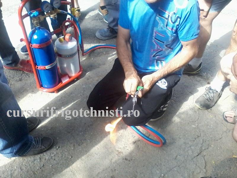 P13-07-16_10.11 (Custom).jpg