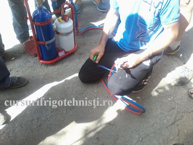 P13-07-16_10.11[01] (Custom).jpg